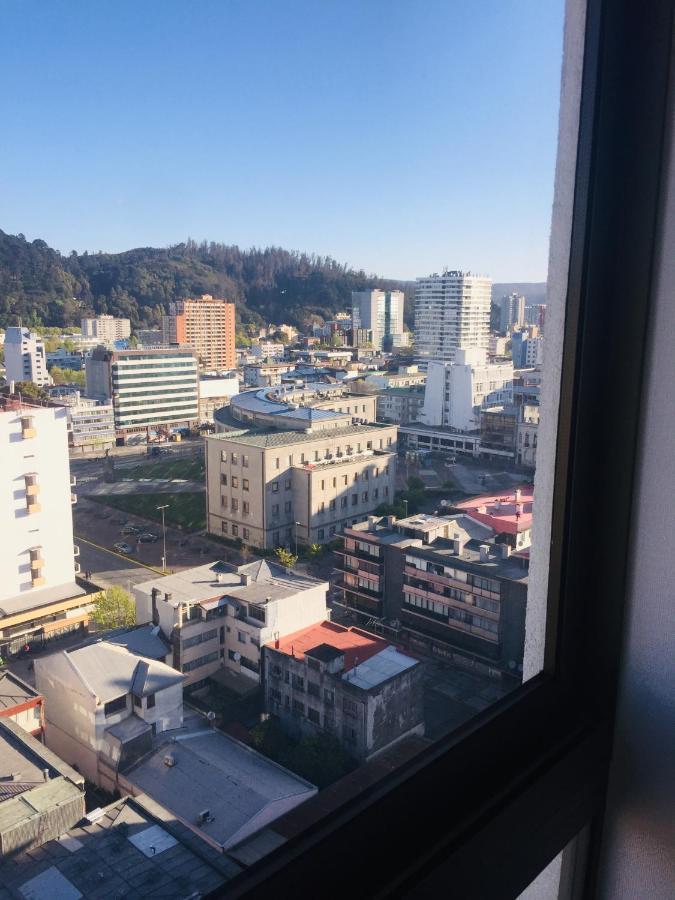 Apartamento Departamento Freire 1062 *